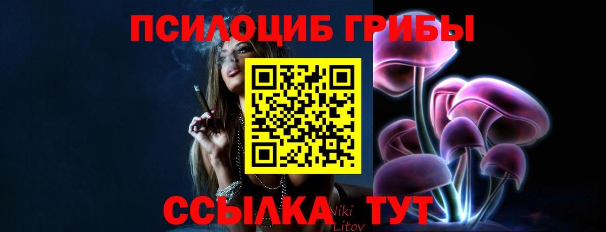 Дубна  Галлюциногенные грибы GOLDEN TEACHER  Вход с VPN 